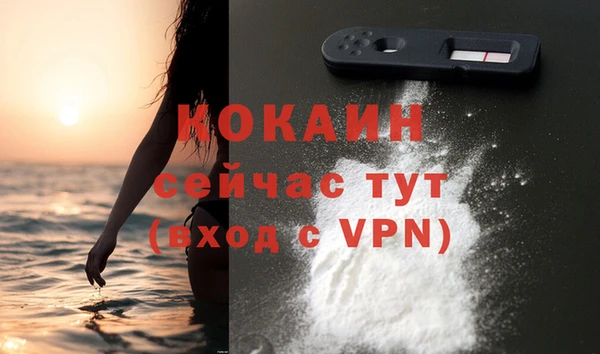 молекула духа Белокуриха