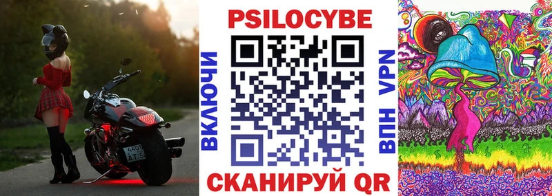 Псилоцибиновые грибы Psilocybine cubensis  Цивильск 